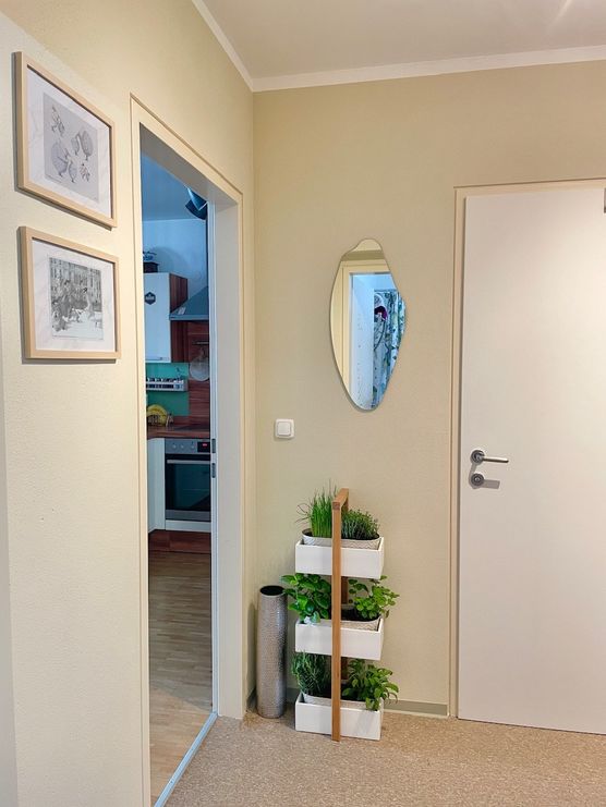 Das frisch bepflanzte Kräuter“regal“ Das frisch bepflanzte Kräuter“regal“