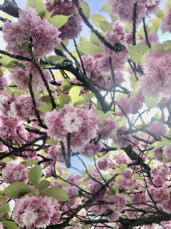 Bild von FabulasWelt Bild von FabulasWelt