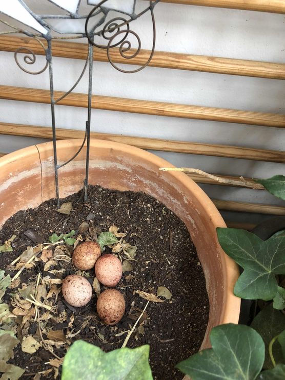 Bild von FabulasWelt Bild von FabulasWelt