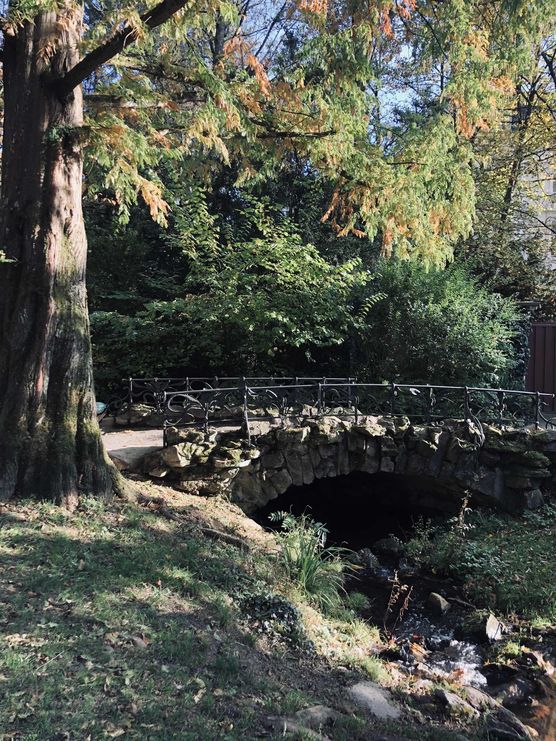 Bild von FabulasWelt Bild von FabulasWelt