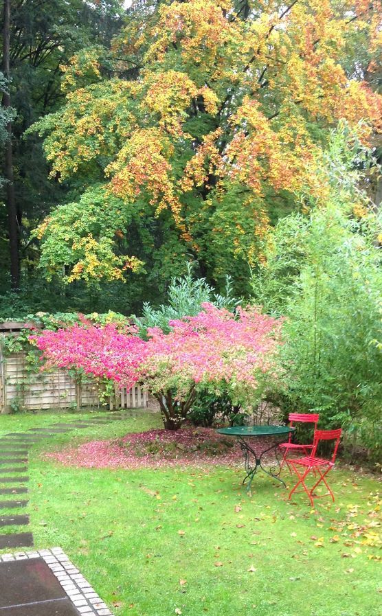 Herbstgarten im Regen Herbstgarten im Regen