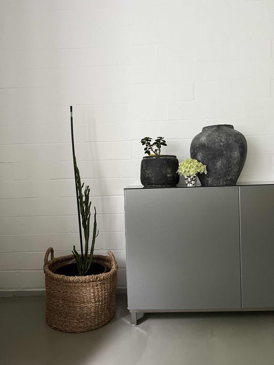 Bild von mrslueschper Bild von mrslueschper