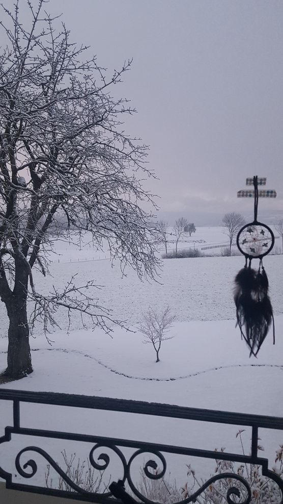 Fensterblick heute Abend Fensterblick heute Abend