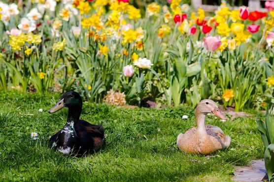 Ich habe vor wenigen Ich habe vor wenigen