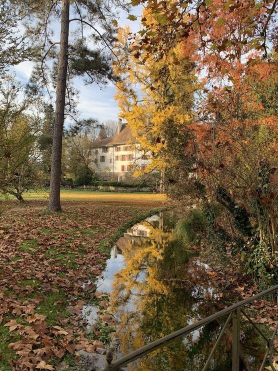 Heute auf der Gassirunde Heute auf der Gassirunde