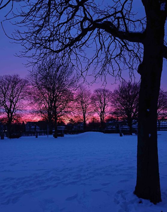 Bild von sarahswelt Bild von sarahswelt