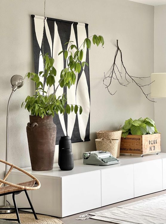 Bild von sibia Bild von sibia