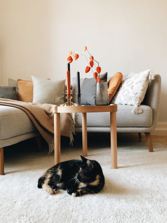 Herbststimmung 🧡 Herbststimmung 🧡