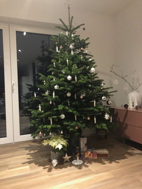 Dieses Jahr haben wir Dieses Jahr haben wir