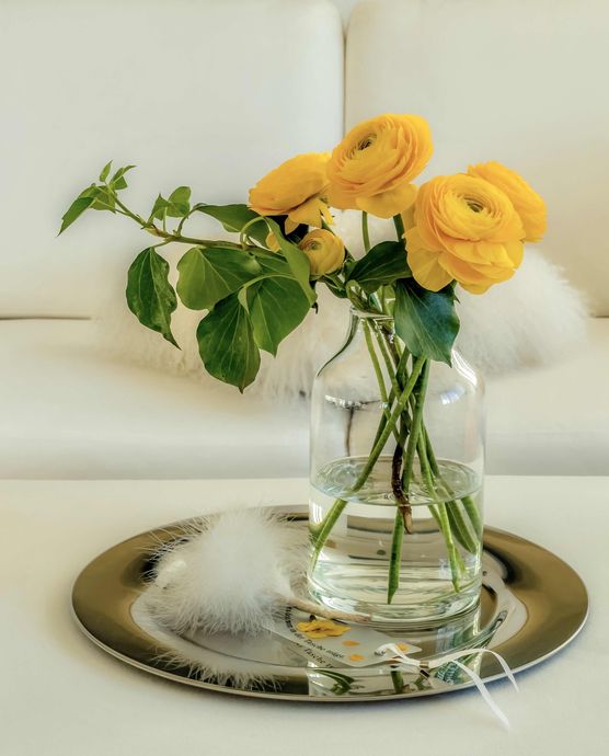 Bild von Mayflower Bild von Mayflower