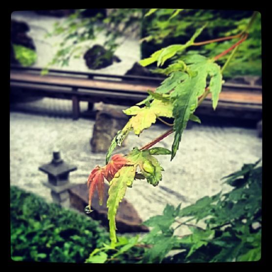 Kurz bevor der Tropfen fällt Kurz bevor der Tropfen fällt