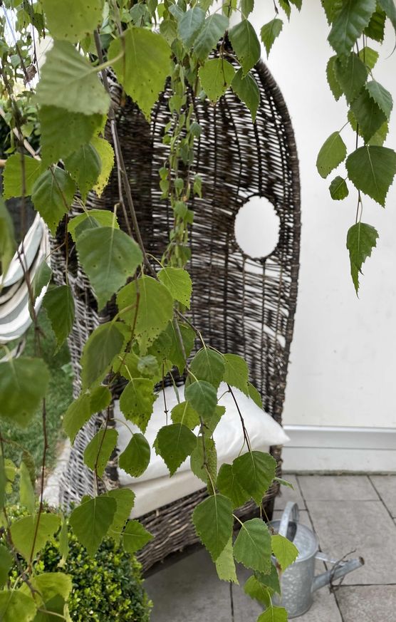 Bild von Grateful_Heart Bild von Grateful_Heart