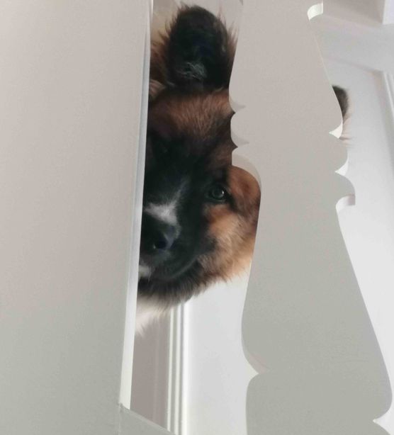 Bild von rea24 Bild von rea24