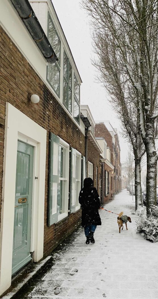 Bild von Posaune39 Bild von Posaune39