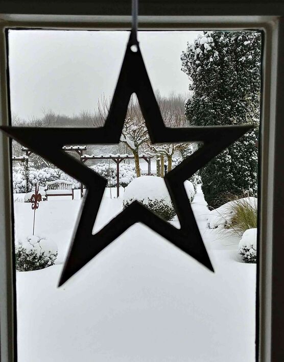 Bild von Sabine Land-Ei Bild von Sabine Land-Ei