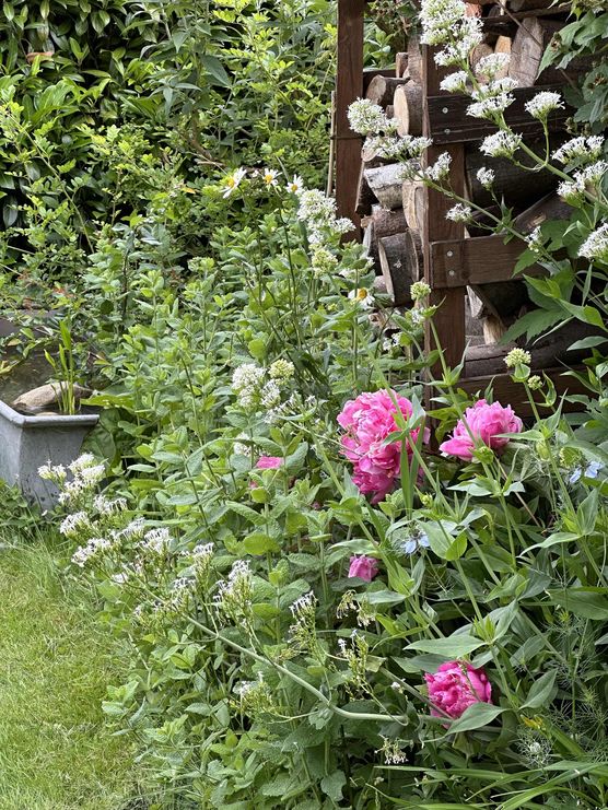 Bild von caku Bild von caku