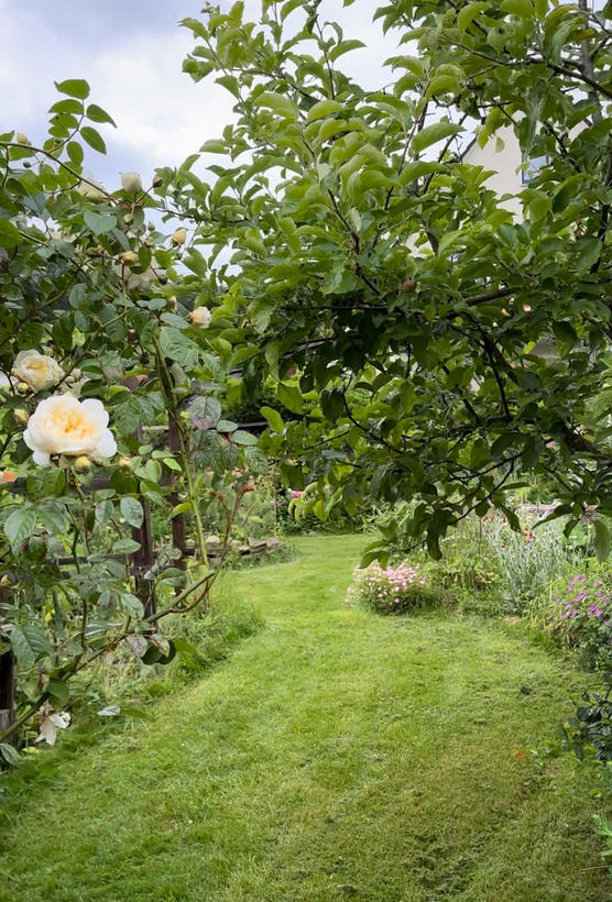 Bild von caku Bild von caku