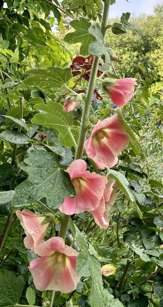 Bild von caku Bild von caku