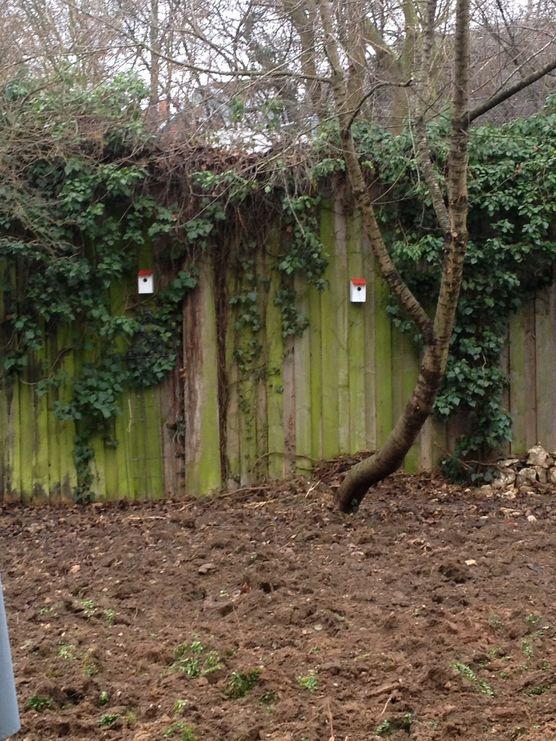 Auch die Vögel haben ein neues Heim.... Auch die Vögel haben ein neues Heim....