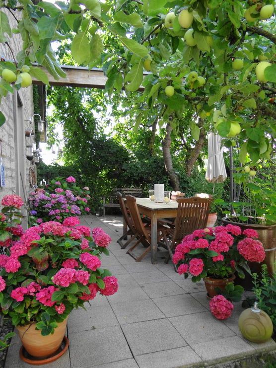 ... guten morgen terasse ... ... guten morgen terasse ...