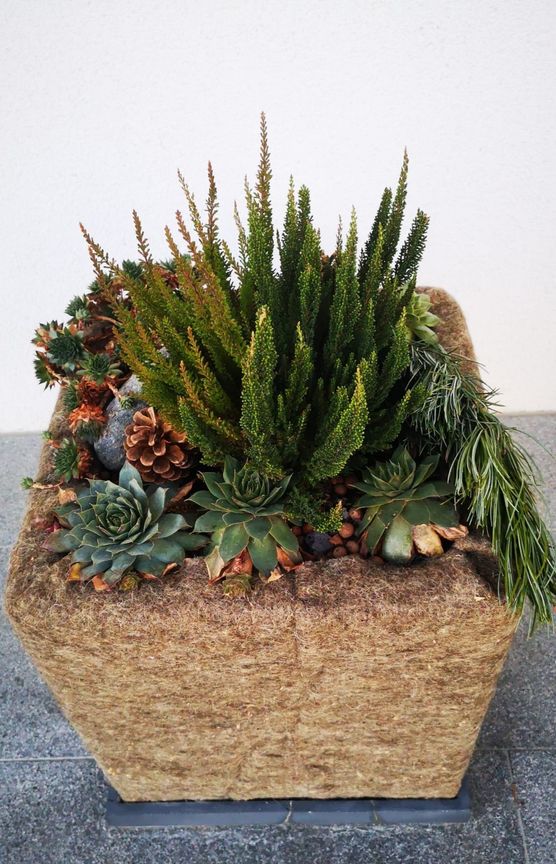 Schafwollwintermantel für die Pflanzen Schafwollwintermantel für die Pflanzen