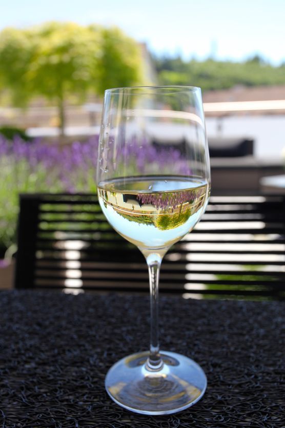 sommer auf der terrasse sommer auf der terrasse