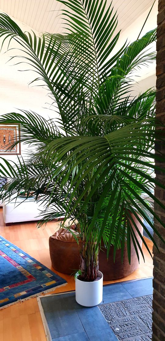 Winterblues, grau, nass, kalt.....ich Winterblues, grau, nass, kalt.....ich