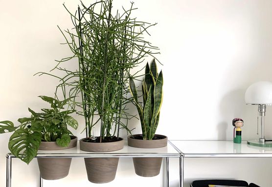 Bild von AnneKaffeeKanne Bild von AnneKaffeeKanne