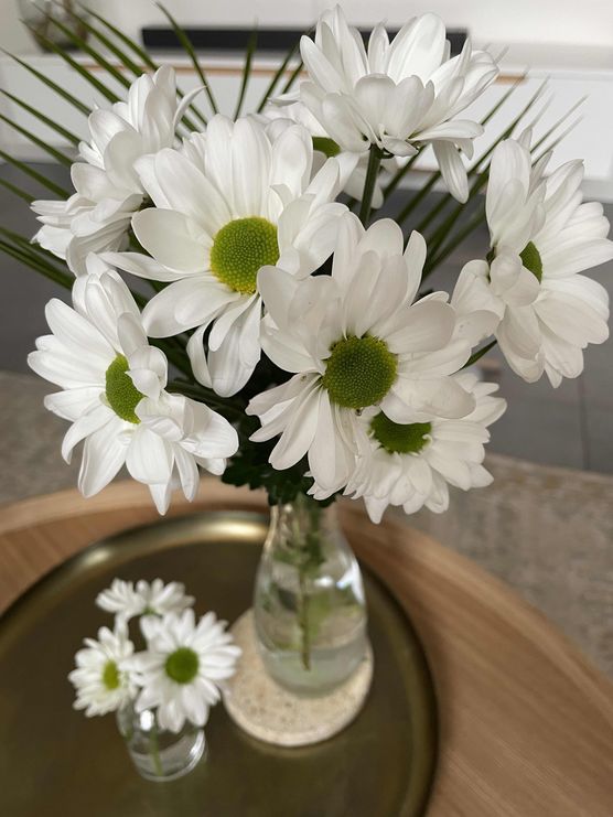 Bild von CasaNia Bild von CasaNia