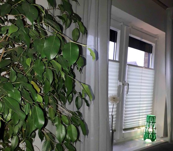 Hallo liebe Community, für Hallo liebe Community, für