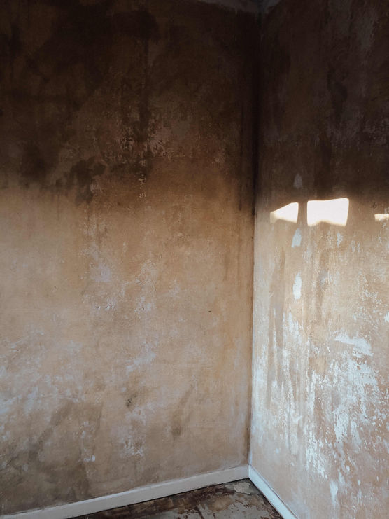 Bild von Tini2811 Bild von Tini2811