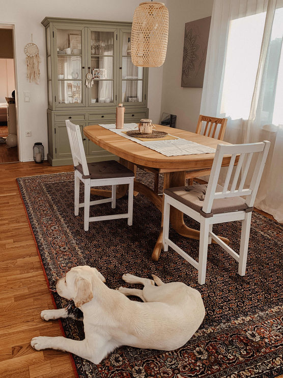 Bild von Tini2811 Bild von Tini2811