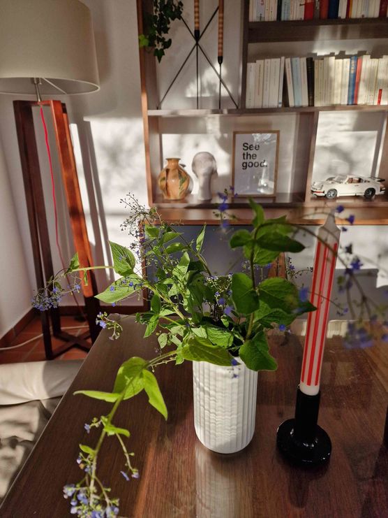 Bild von seasalt Bild von seasalt