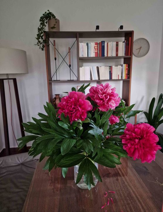 Bild von seasalt Bild von seasalt