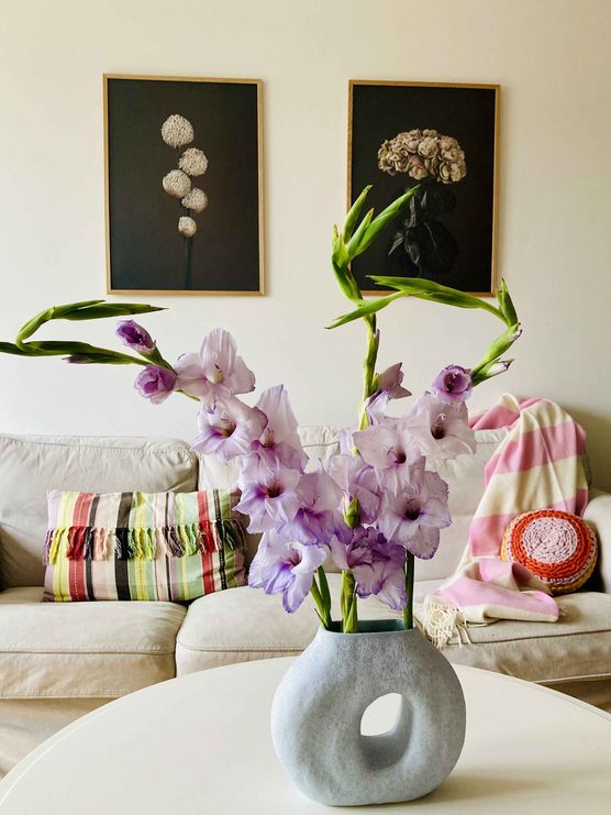 Bild von micasaenelaire Bild von micasaenelaire