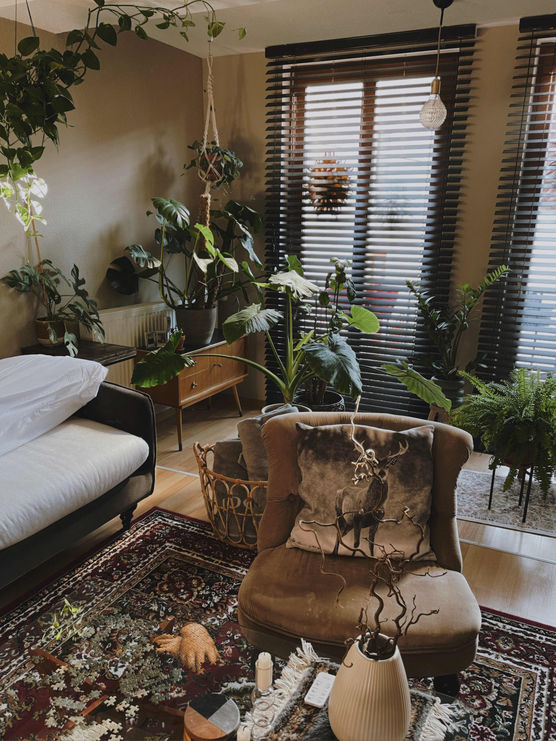 Bild von nursevi Bild von nursevi