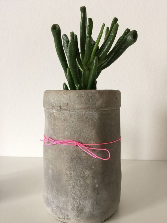 Was ist das ? Was ist das ?