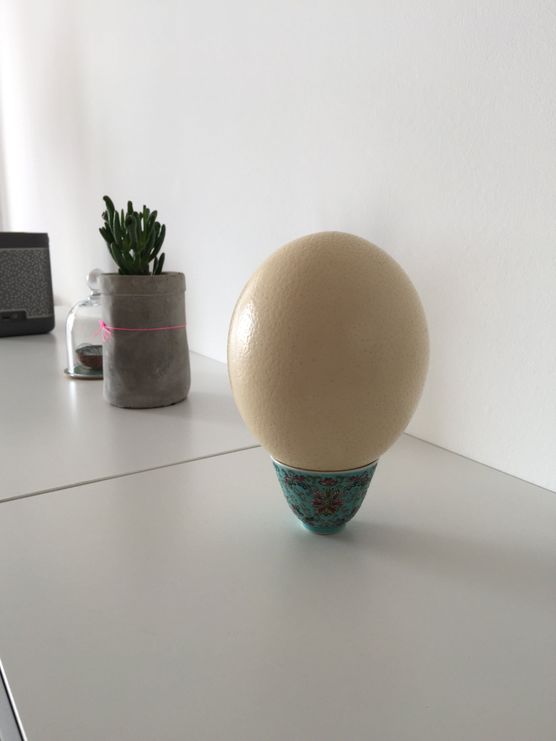 Besta ist so schöööön Besta ist so schöööön