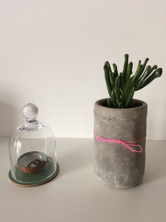 Asien unter der Haube Asien unter der Haube