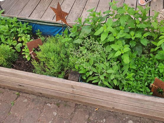 Bild von bellyswing Bild von bellyswing