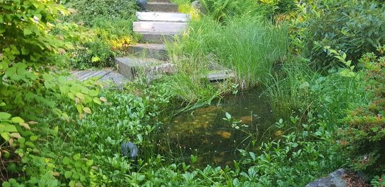 Bild von bellyswing Bild von bellyswing