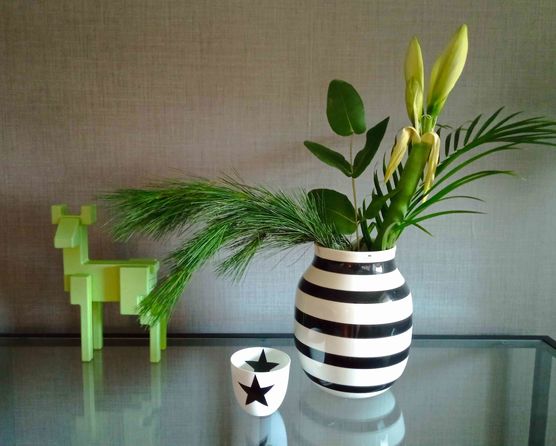 Bild von mynoah Bild von mynoah