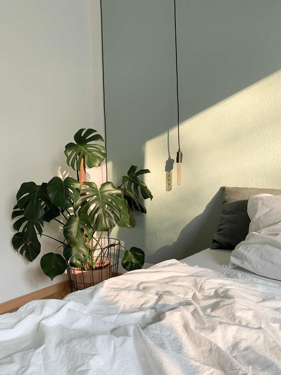 Bild von flatnextdoor Bild von flatnextdoor