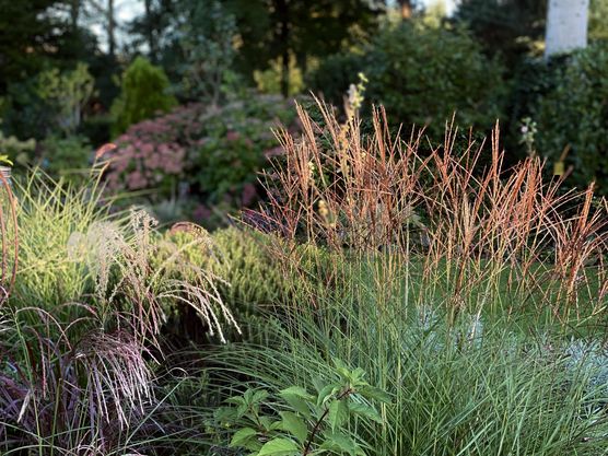 Bild von Philippa93 Bild von Philippa93