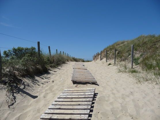 Holland im Sonnenschein Holland im Sonnenschein