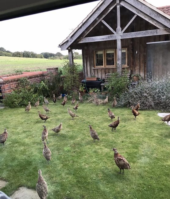 Es ist mal wieder Es ist mal wieder