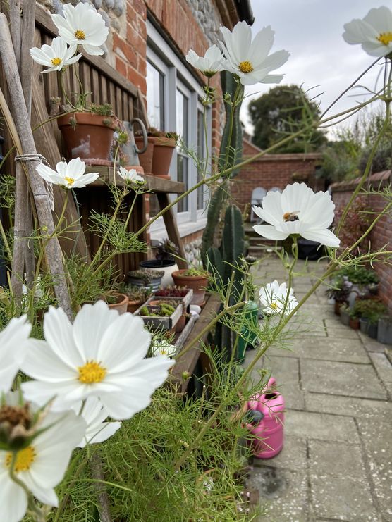 Meine viel geliebten letzten Meine viel geliebten letzten