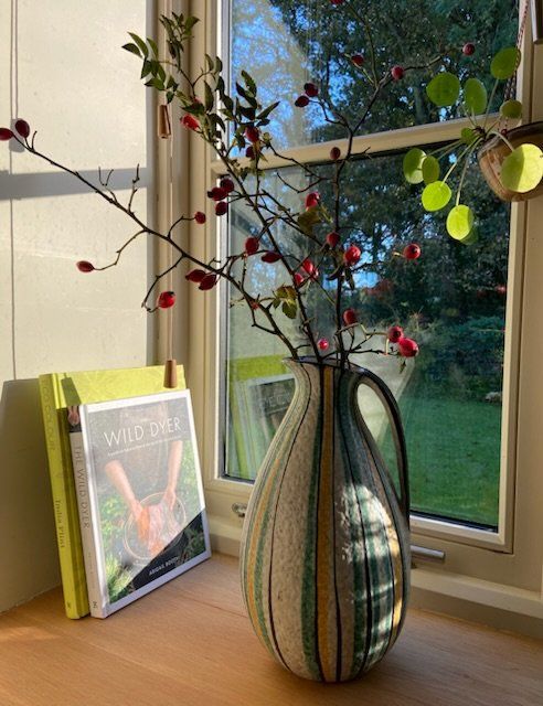 Guten Morgen Sonne und Guten Morgen Sonne und