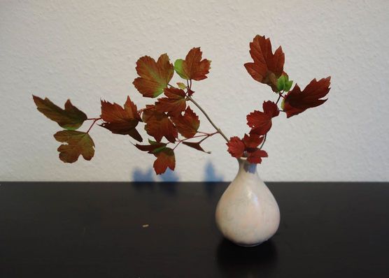 Vor dem nächsten Regen gerettet. Vor dem nächsten Regen gerettet.