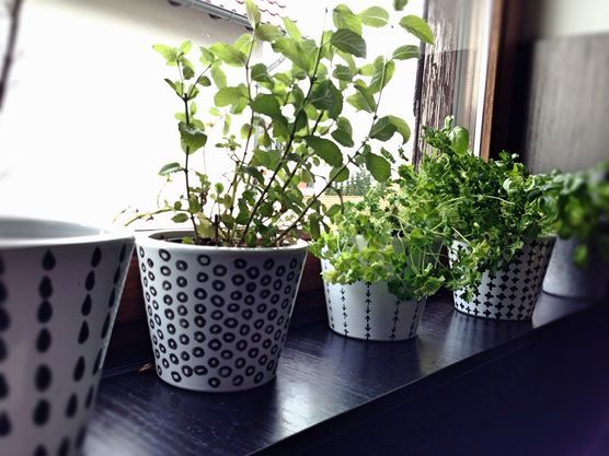 Kräutertöpfle Kräutertöpfle